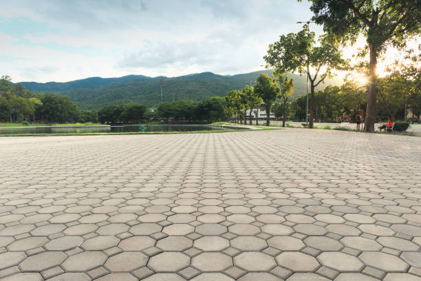 Best Driveway Paving Contractor  in Springville, IA