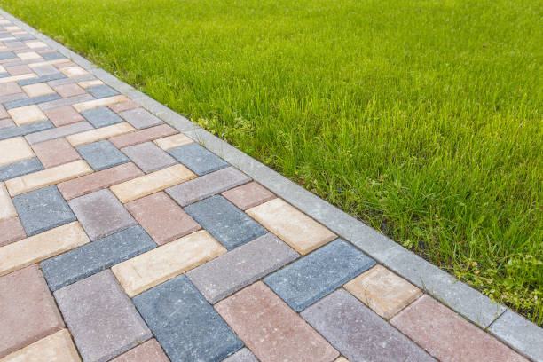 Best Local Driveway Pavers  in Springville, IA